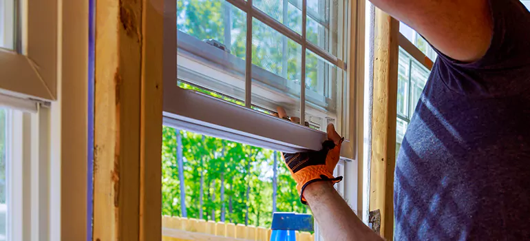 Decorative Window Film Services in Santa Rosa, CA