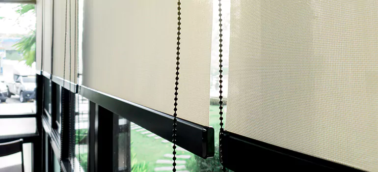Blackout Window Shades in Santa Rosa, CA