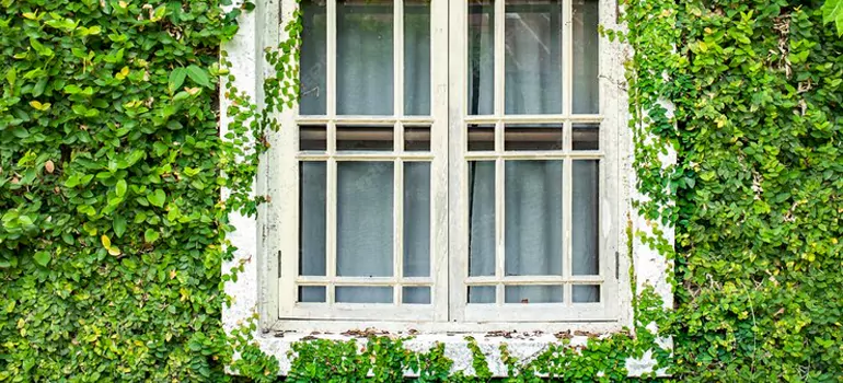 Garden Window Repair Near Me in Santa Rosa, CA