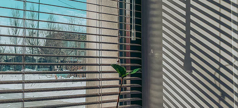 Commercial Window Blinds in Santa Rosa, CA