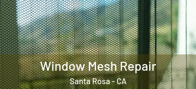  Window Mesh Repair Santa Rosa - CA