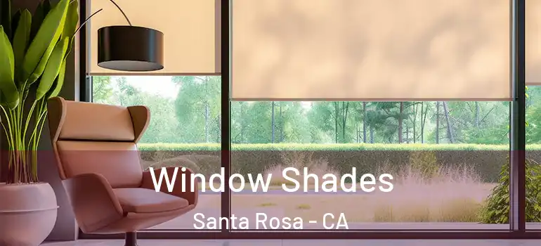  Window Shades Santa Rosa - CA
